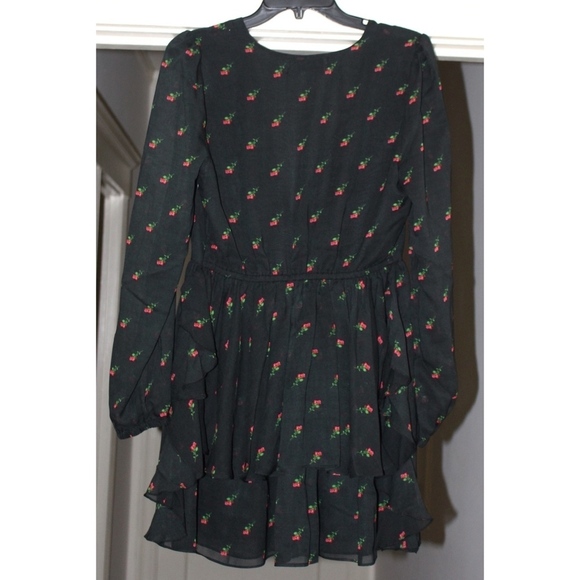 New with Tags - Wildfox Moira Mini Dress, Rosebud pattern, Peplum- Large - Picture 8 of 8